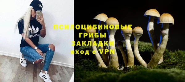 СК Яранск