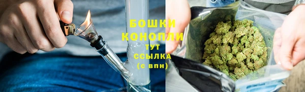стафф Яровое