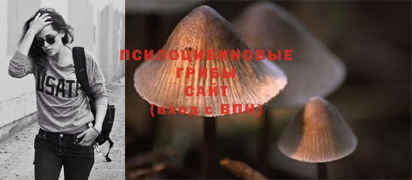 шишки Янаул