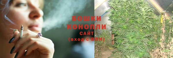 шишки Янаул