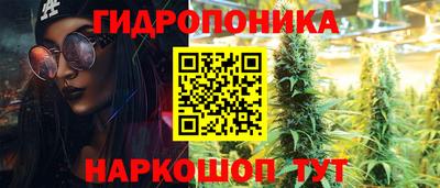 не бодяженный Камышлов
