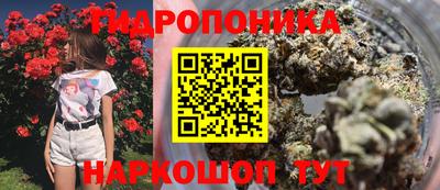 хмурый Кандалакша