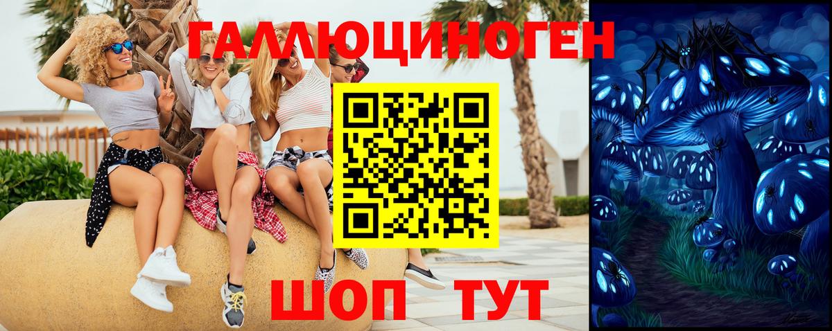 Псилоцибиновые грибы Cubensis  Миасс 