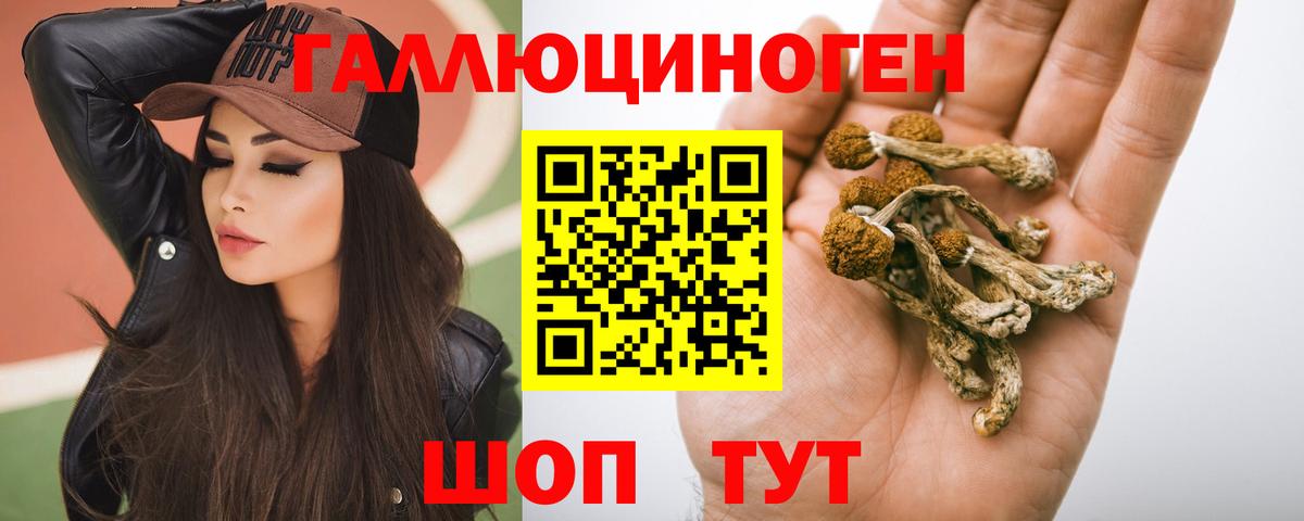 Галлюциногенные грибы прущие грибы  Псилоцибиновые грибы MAGIC MUSHROOMS  Миасс  Вход с VPN 